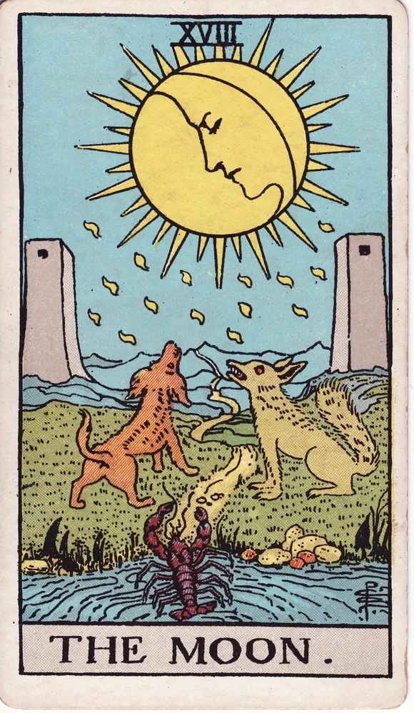 A full moon over a path between two towers, a dog and a wolf howling, a crayfish in a pool